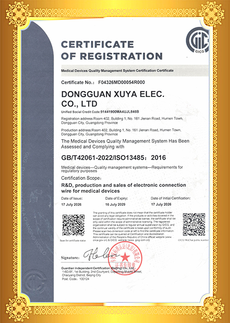 ISO13485-英文