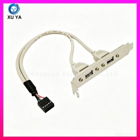 9Pin 转双 USB 后置挡板扩展线 机箱 USB 分线器